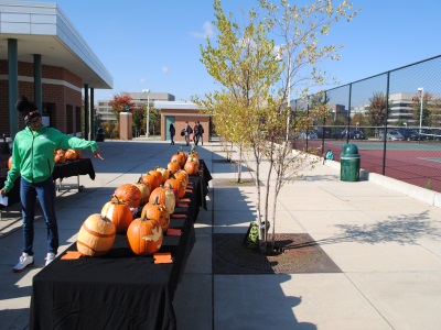 Bad Day To Be A Pumpkin 2014