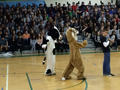 WJ Spring Pep Rally showcases spring sports and Male Poms