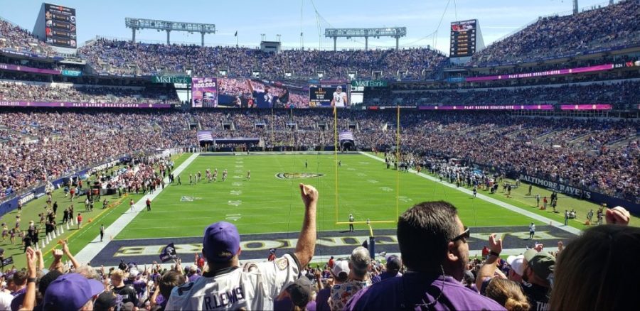 Senior Tim Shotashvili supports the Ravens while watching a game live.  Shotashvili first started watching the Ravens because of certain players. "Players like Ray Lewis and Ed Reed are the reason that I started watching," Shotashvili said.