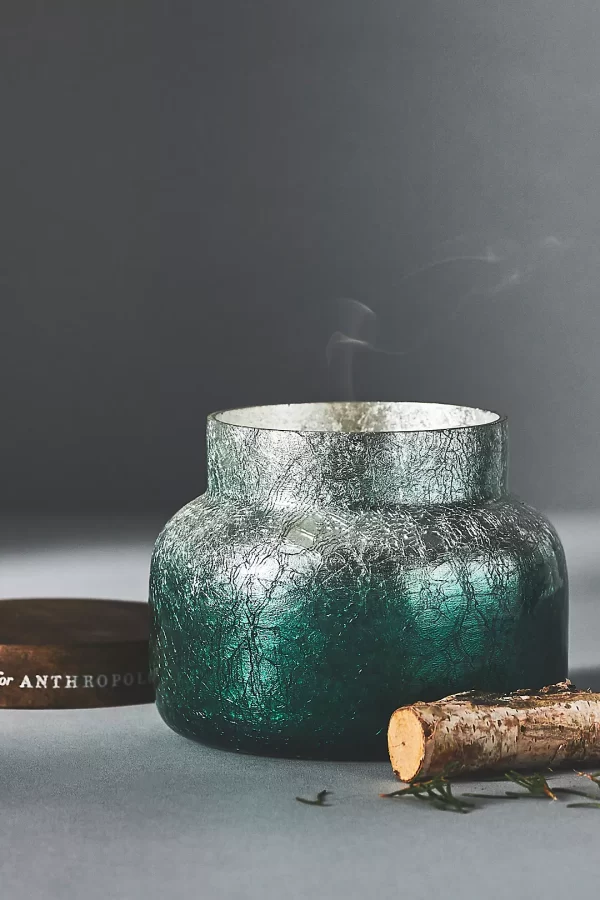 Splurge: Capri Blue Fir & Firewood Jar Candle - $38

Candles are the best way to decorate your home for the holidays. There’s nothing like a vanilla-scented room with a beautiful burning flame.

https://www.anthropologie.com/shop/capri-blue-fir-firewood-jar-candle4?category=SEARCHRESULTS&color=037&searchparams=q%3Dcapri%2520blue%2520candle&type=STANDARD&size=One%20Size&quantity=1