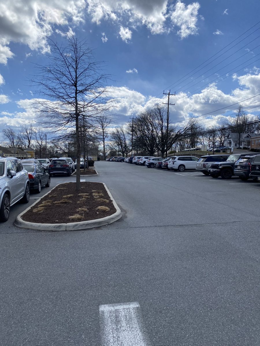 The Wildwood Parking Lot is almost always extremely busy, making it potentially stressful for inexperienced drivers. 