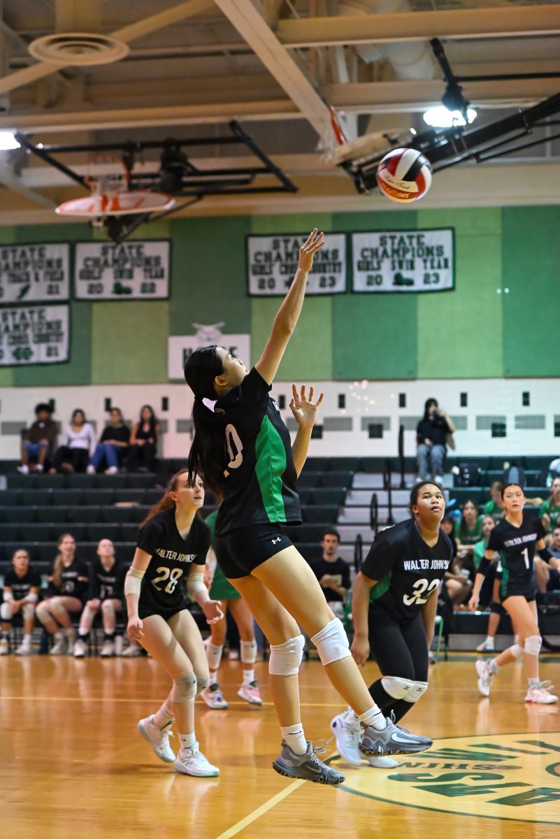 Junior Hannah Yen launches the ball over the net, looking to add to the Wildcats' score. The Wildcats defeated the Vikings, winning flawlessly, 3-0. 