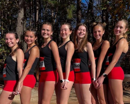 Line cross-country runners line up to take a group picture after their successful race. They all planned matching unique uniforms as this was a meet separate from the school. (Courtesy Lily Bienfang)