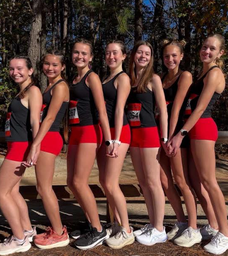 Line cross-country runners line up to take a group picture after their successful race. They all planned matching unique uniforms as this was a meet separate from the school. (Courtesy Lily Bienfang)