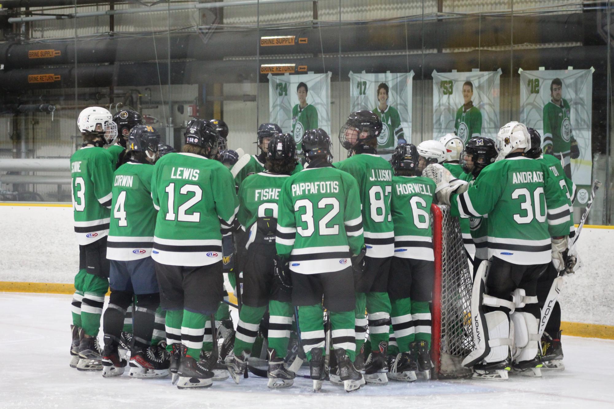 Photo Gallery: Icecats beat Sherwood on senior night