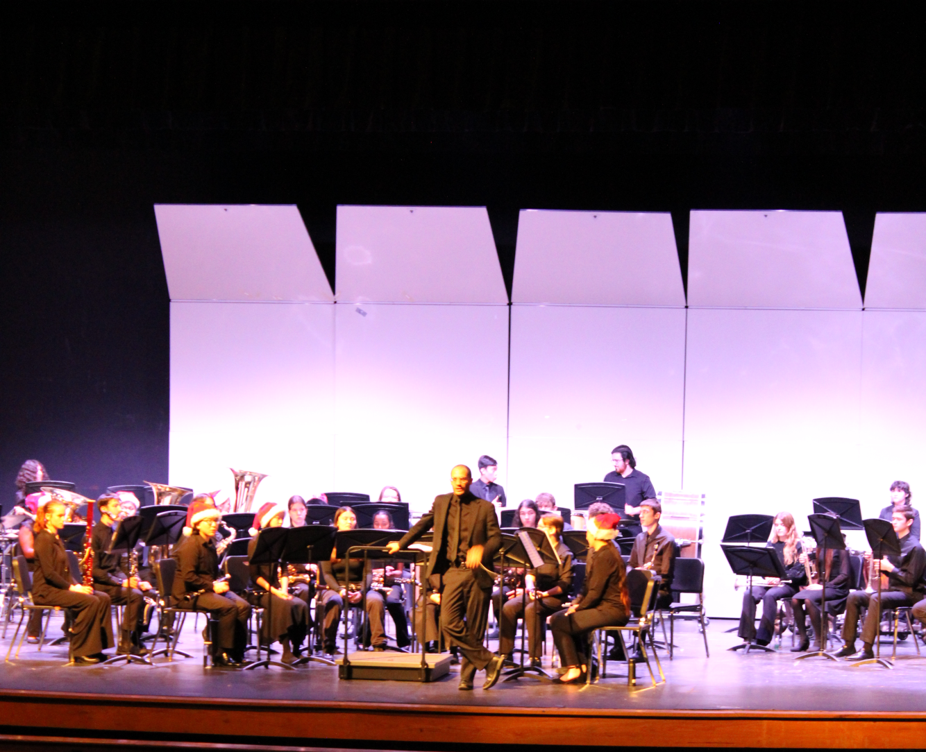 Photo Gallery: Instrumental music performs winter concert