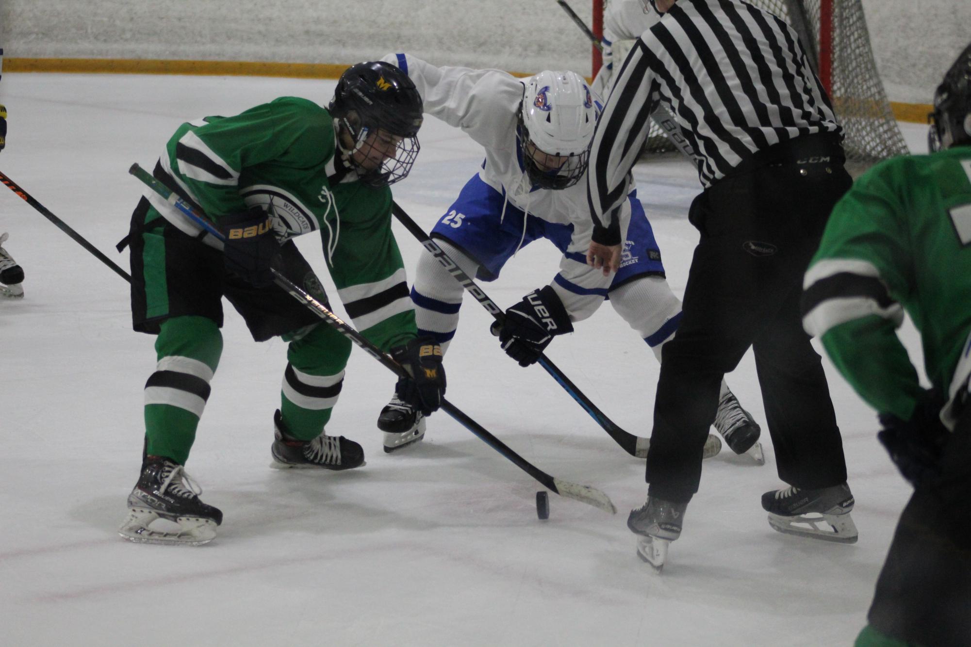 Photo Gallery: Icecats beat Sherwood on senior night