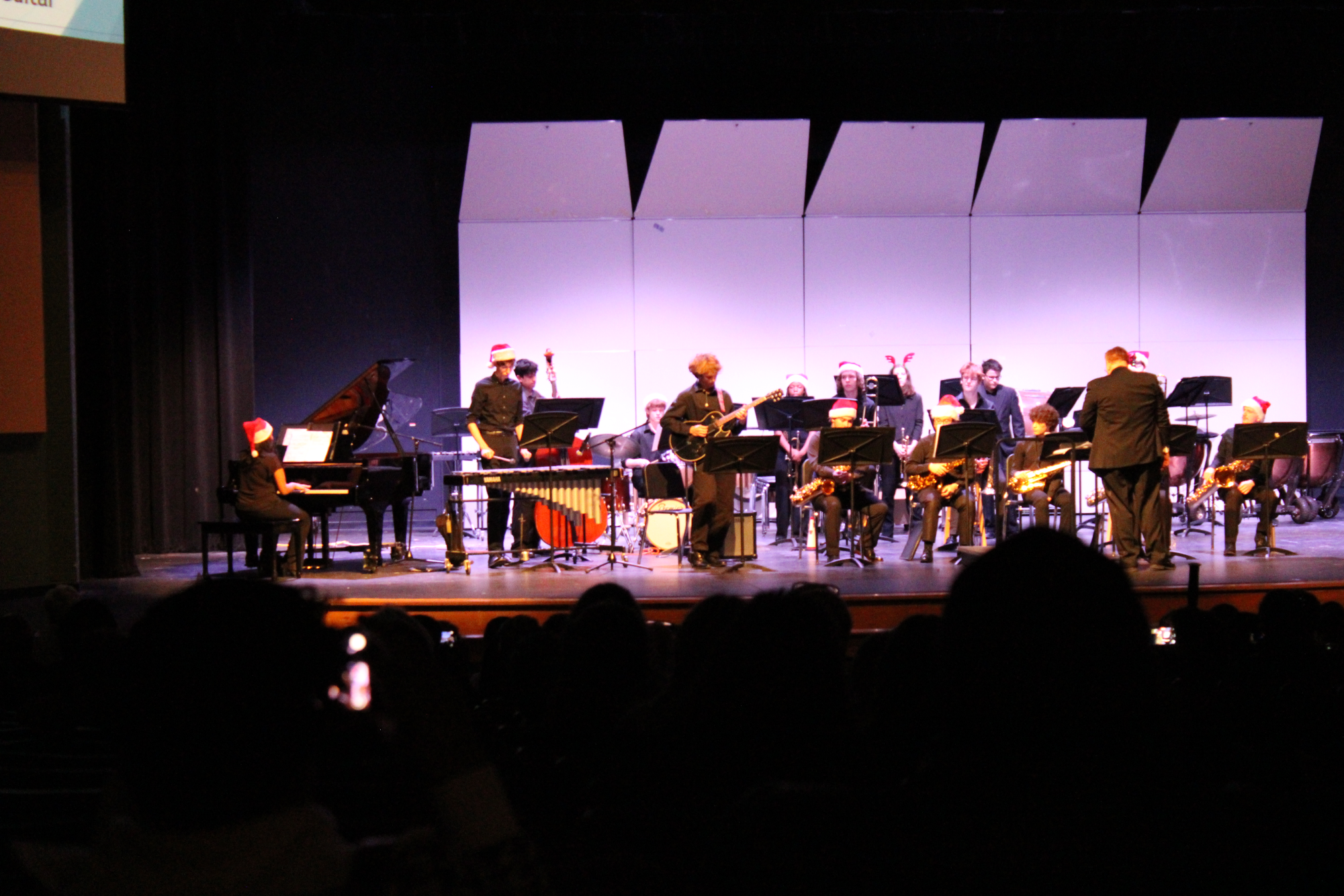 Photo Gallery: Instrumental music performs winter concert