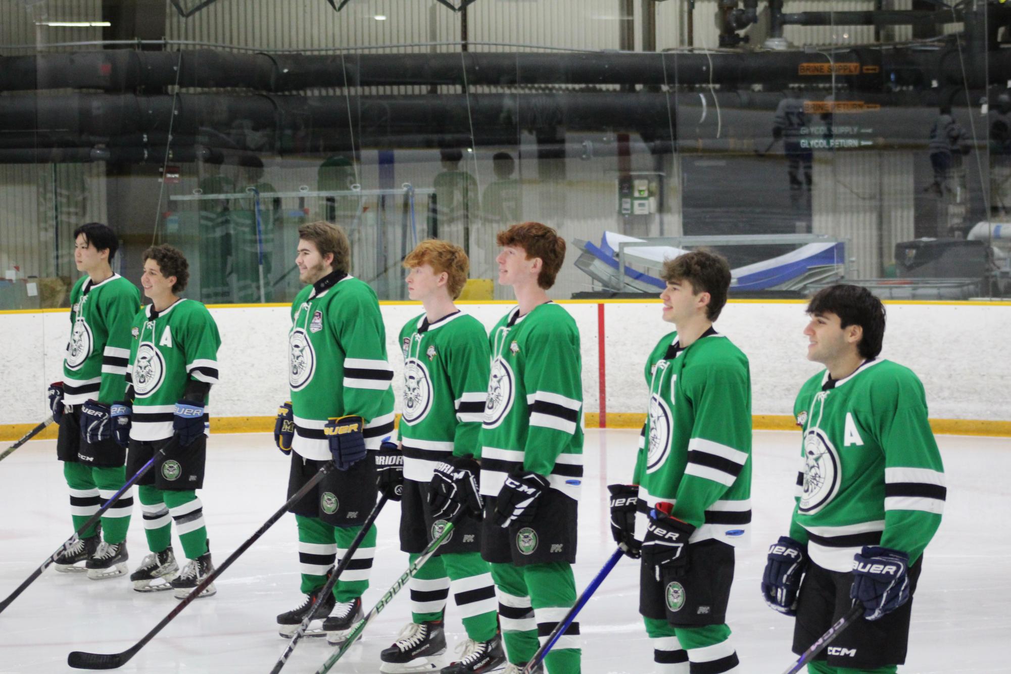 Photo Gallery: Icecats beat Sherwood on senior night