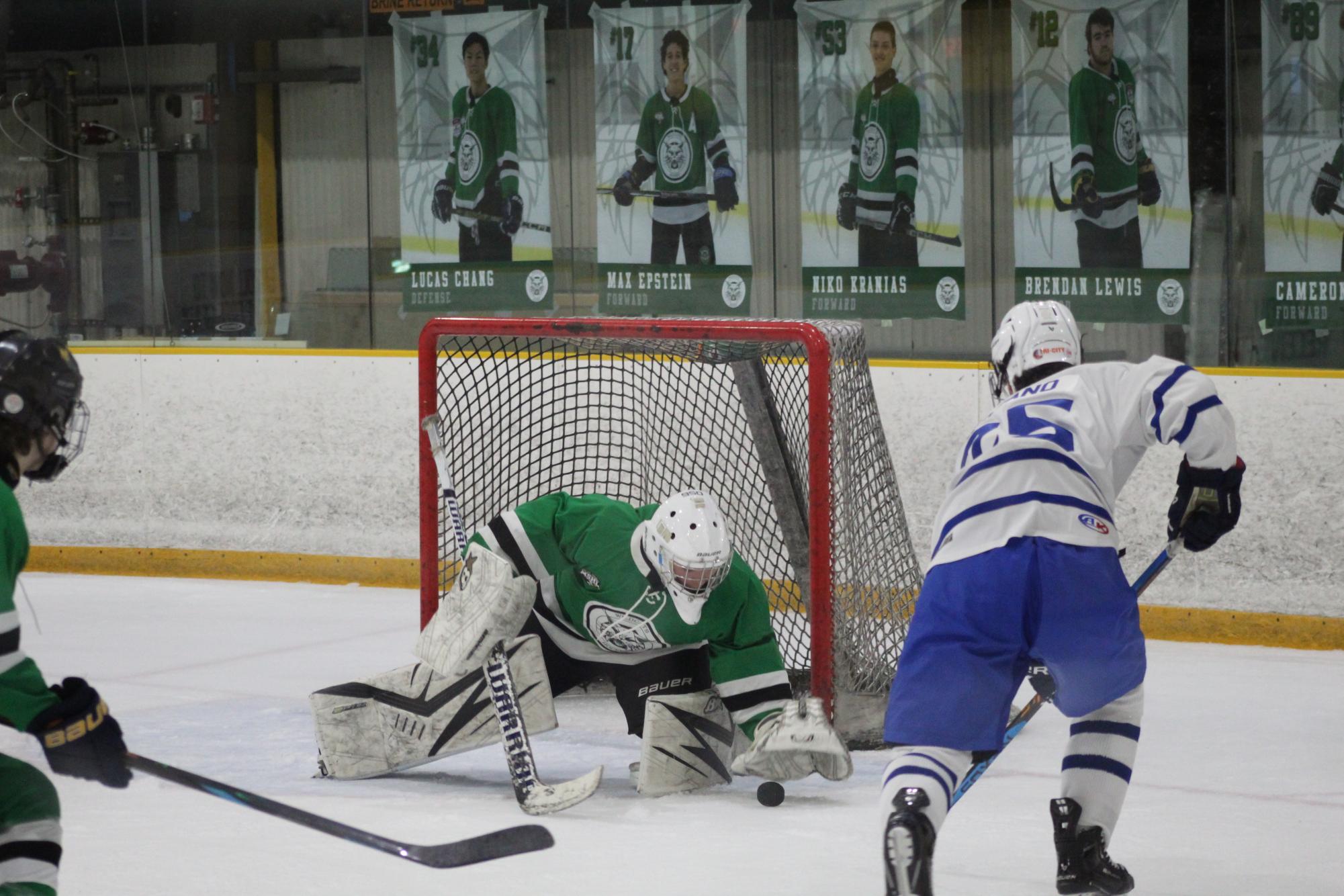 Photo Gallery: Icecats beat Sherwood on senior night