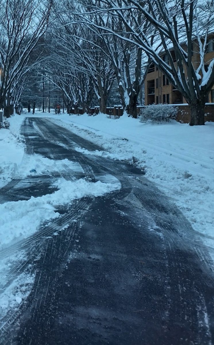 A snow-covered road seen a day after the light snowfall on Jan. 19. Lots of roads and sidewalks throughout the county had similarly snowy and slick conditions multiple days after the initial snowfall.