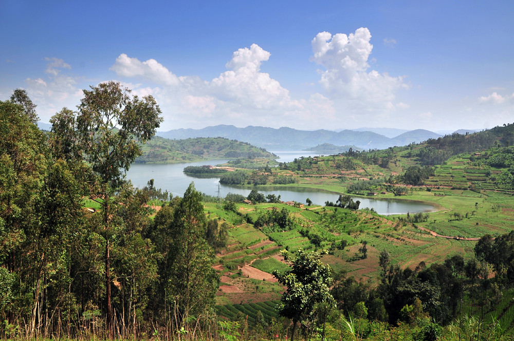 EF Educational Tours is an organization that manages school trips. They will be providing the resources to make WJ's Rwandan excursion possible (Courtesy Neil Palmer.)