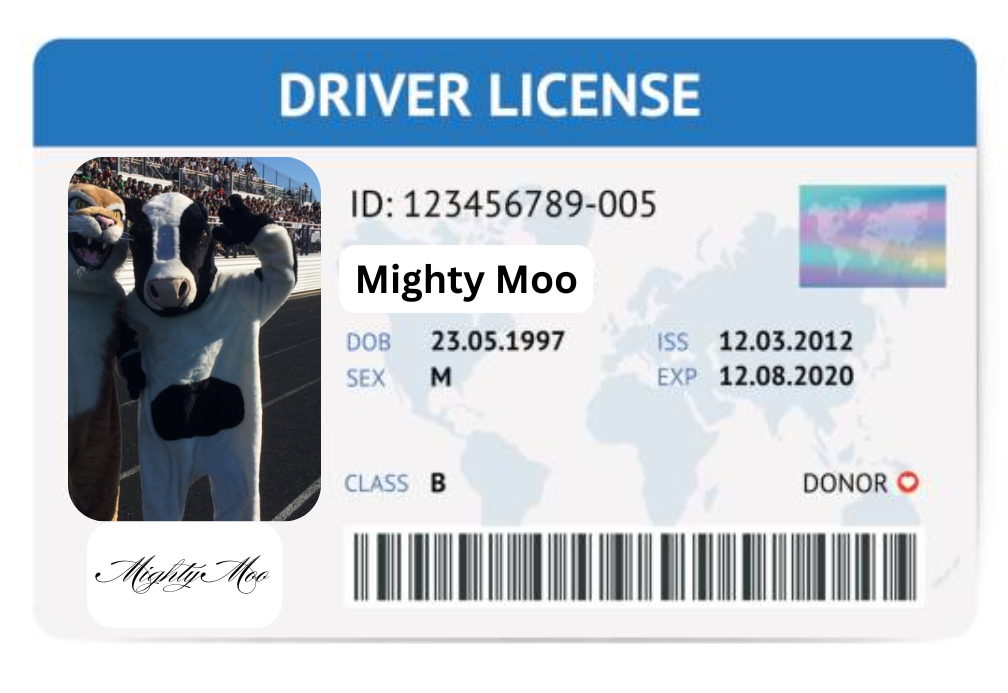 While there are students who, as soon as they turn the required age, begin the process of getting a credit card, other students don't feel the need to. Getting their license is not every student's priority. (Designed with Canva)