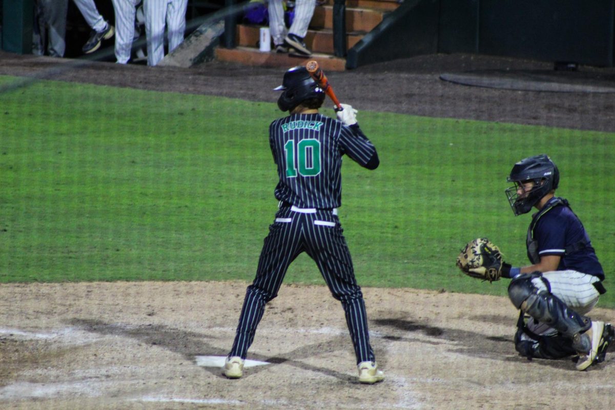 Senior Shaun Rudick stands in the batters box readying for the pitch. Rudick went 3-4 in the state title game, contributing to WJ's victory.