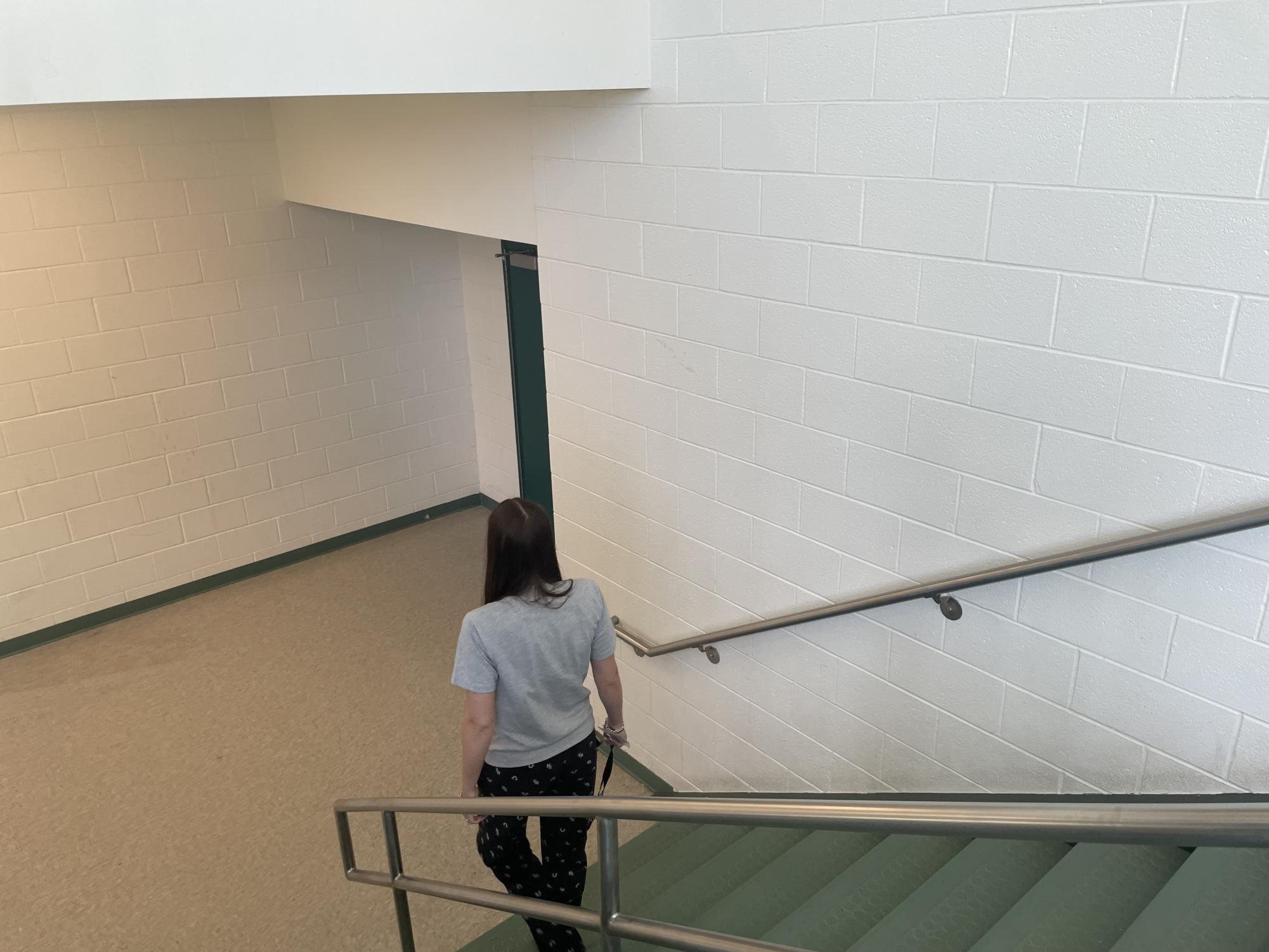 "It depends who I'm around but I'm mostly chalant." Junior Hailey Bixby said. When asked about nonchalant people Bixby said, "Y'all can talk, have fun, smile. We see you guys. You guys aren't cool, you guys look weird."