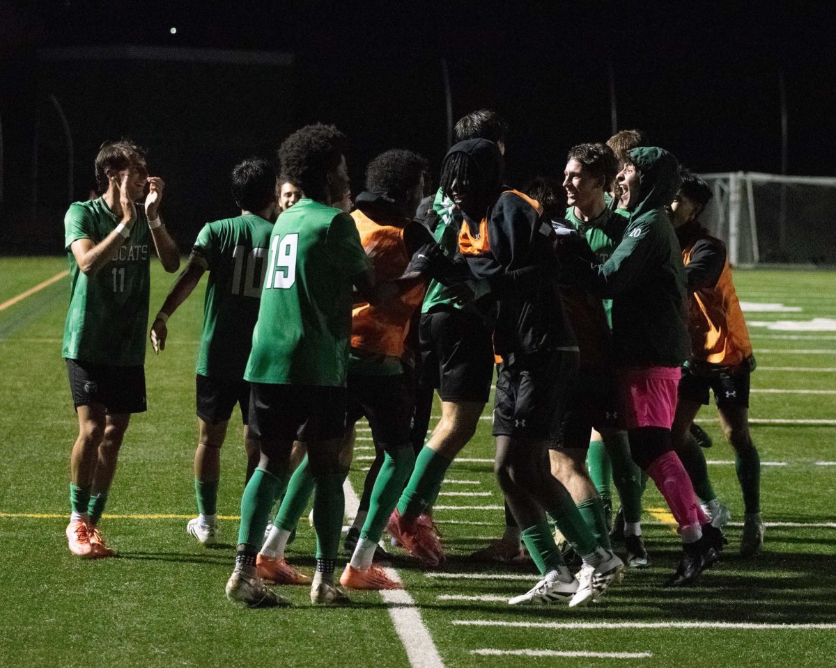 Players celebrate after senior Lucas Brenowitz's game winning overtime goal. The goal gave them the win against the number one-ranked Northwest Jaguars. (courtesy Roy Rozin)