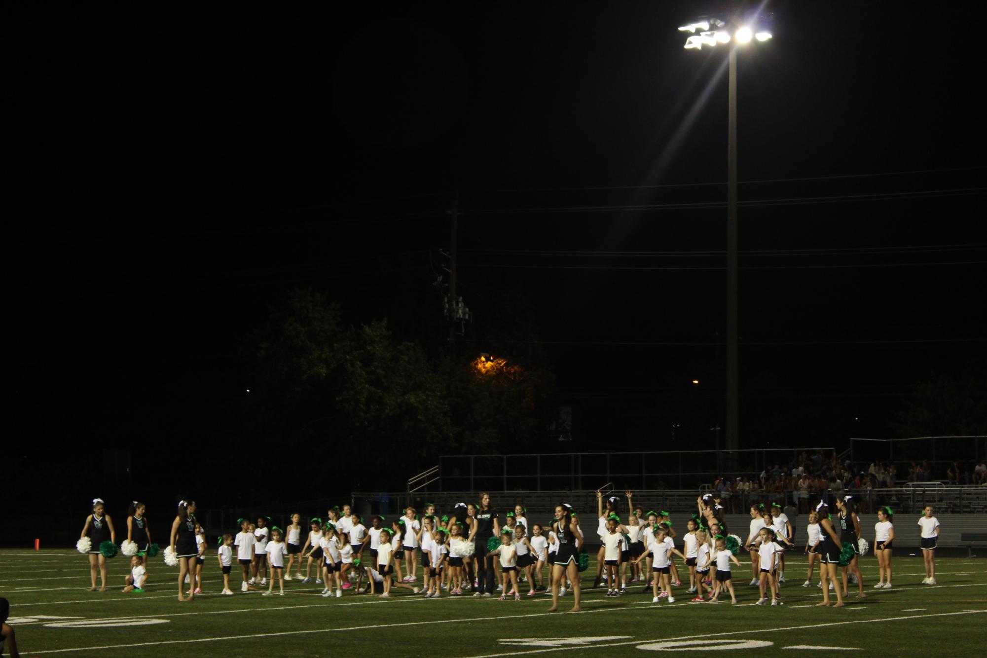 Photo Gallery: Mini Poms