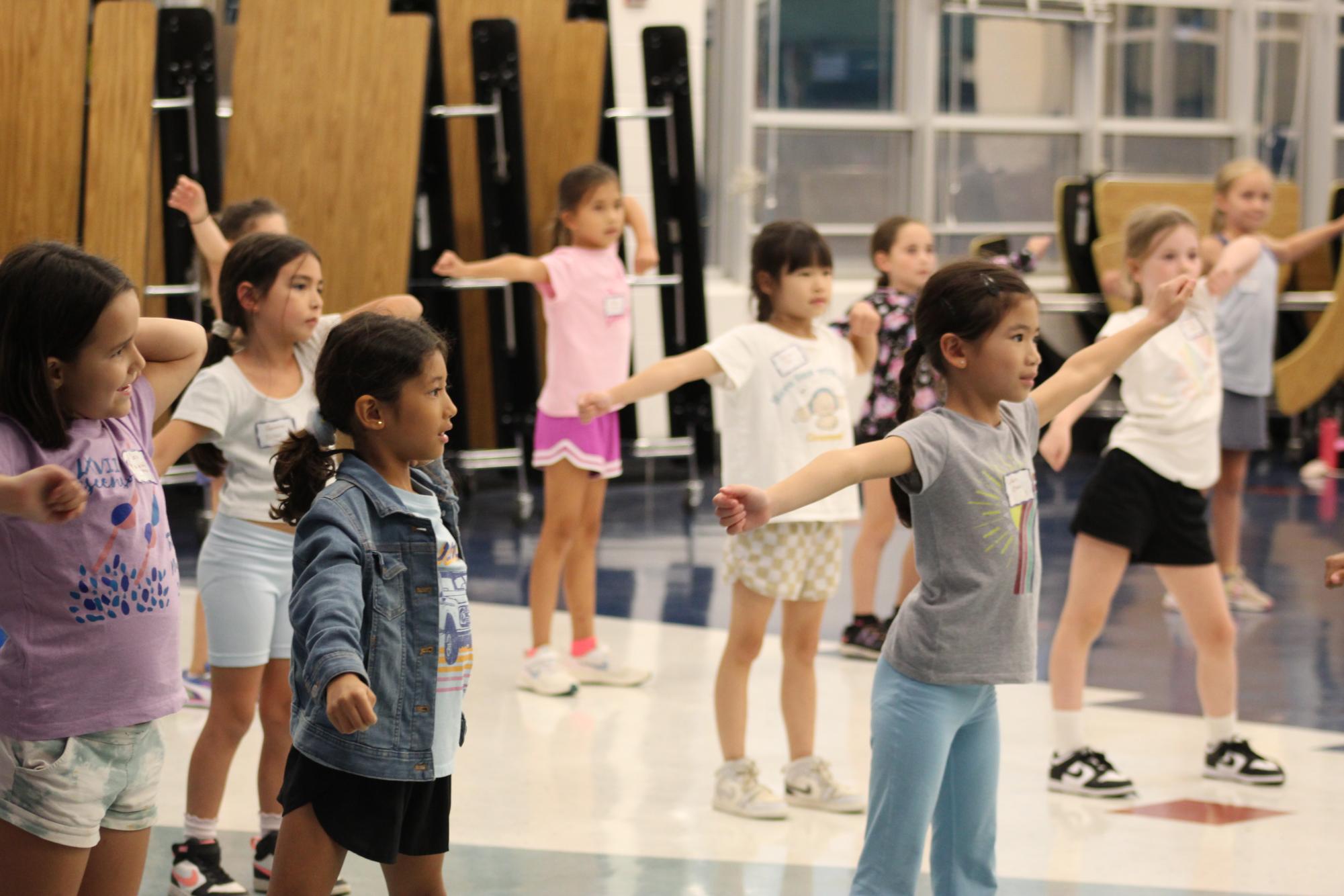 Photo Gallery: Mini Poms