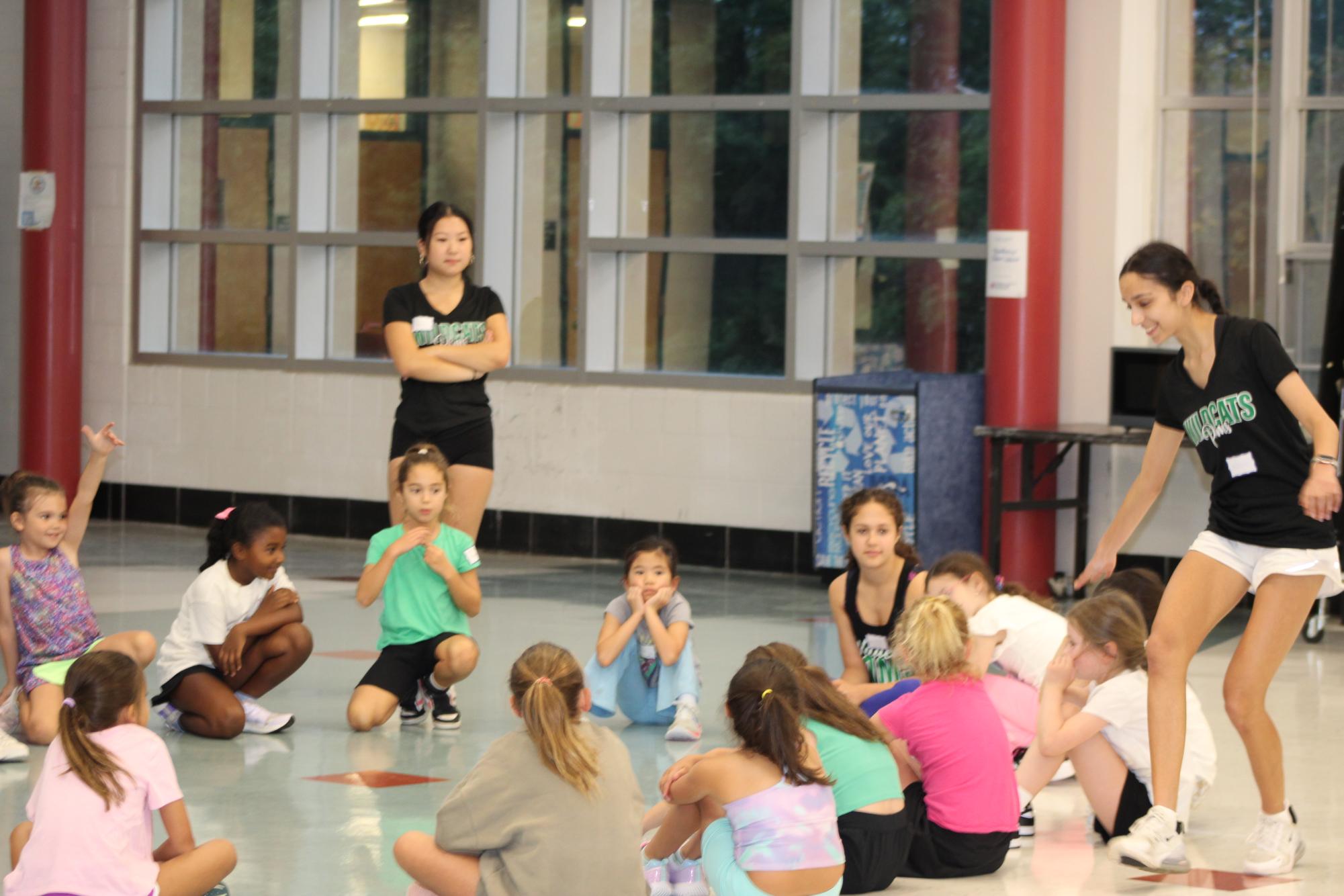Photo Gallery: Mini Poms