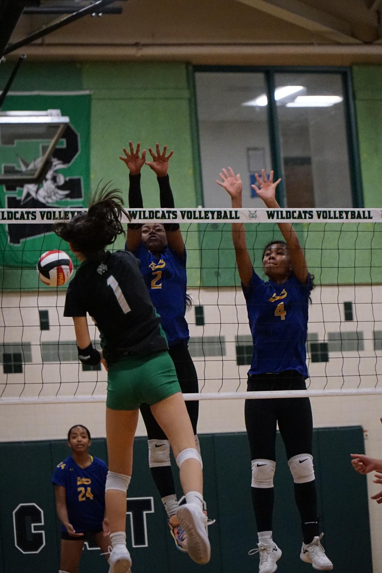 Junior Emilia Zhang spikes a ball in the first round of playoffs against the Gaithersburg Trojans. The Cats won this match in an efficient 3-0 sweep, pushing themselves into the regional semifinals.