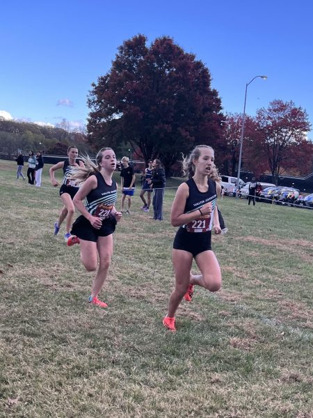 Navigation to Story: Cross country pushes through regionals to states