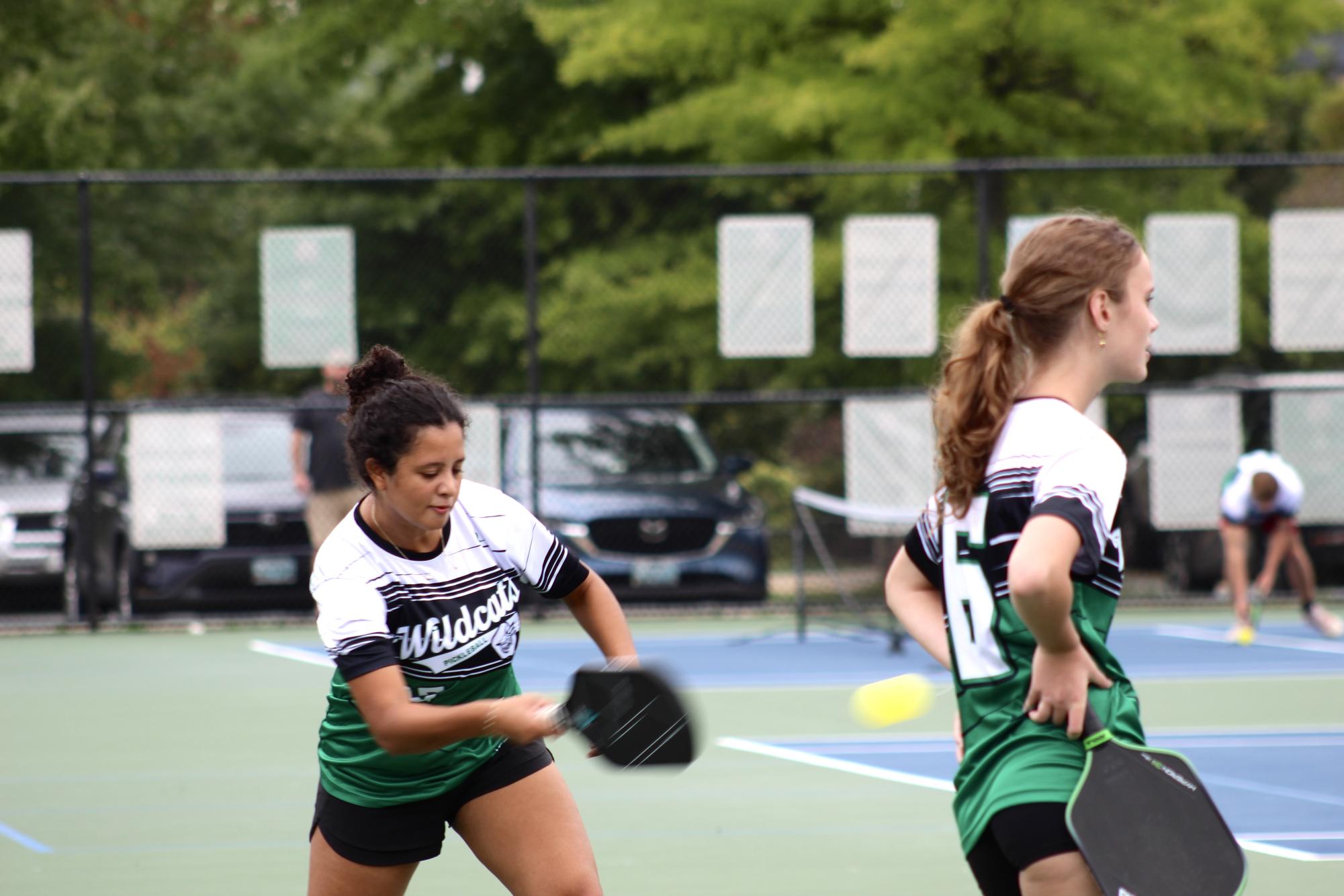 Photo gallery: Pickleball