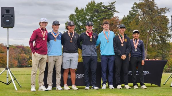 Navigation to Story: Wildcat golfers strive at states