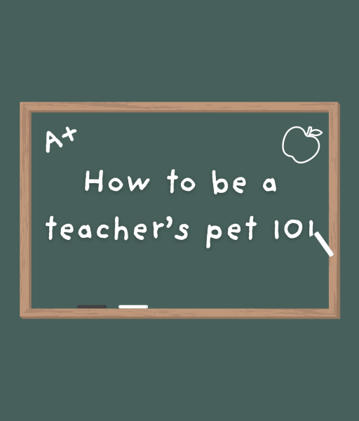 How to be a teacher’s pet 101