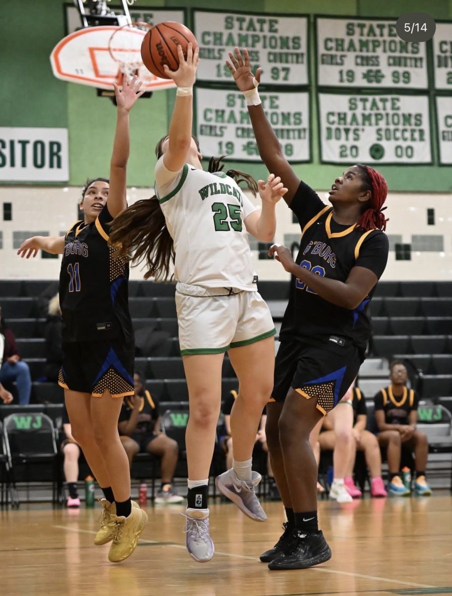 Sophomore Ali Gandolfo looks for an open shot in the matchup against Gaithersburg. The Cats took the victory in a 56-37 home game win.