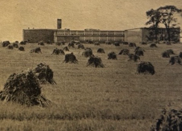 The original school grounds are surrounded by Davis farmland. Real estate owner Floyd Davis owned around 400 acres of property surrounding the Walter Johnson area, land that has since been converted into suburban housing and shopping centers. (1950) (Courtesy WJ Pitch)

